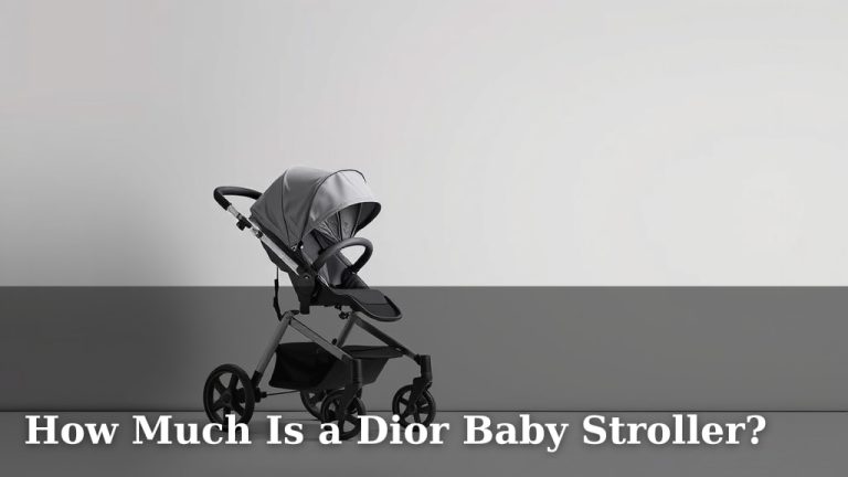 How Much Is a Dior Baby Stroller?
